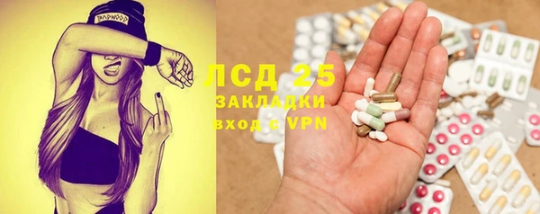 индика Осинники