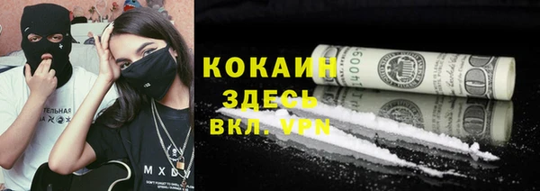твердый Михайловка