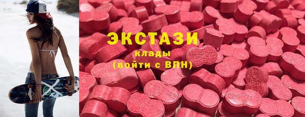 прущие грибы Переславль-Залесский